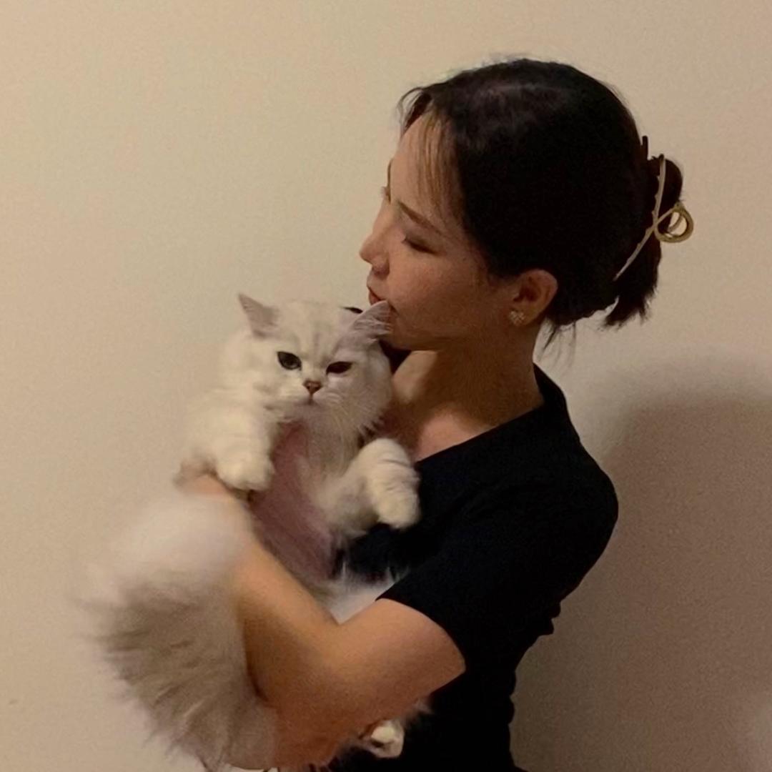 是十一啊（摆摊版