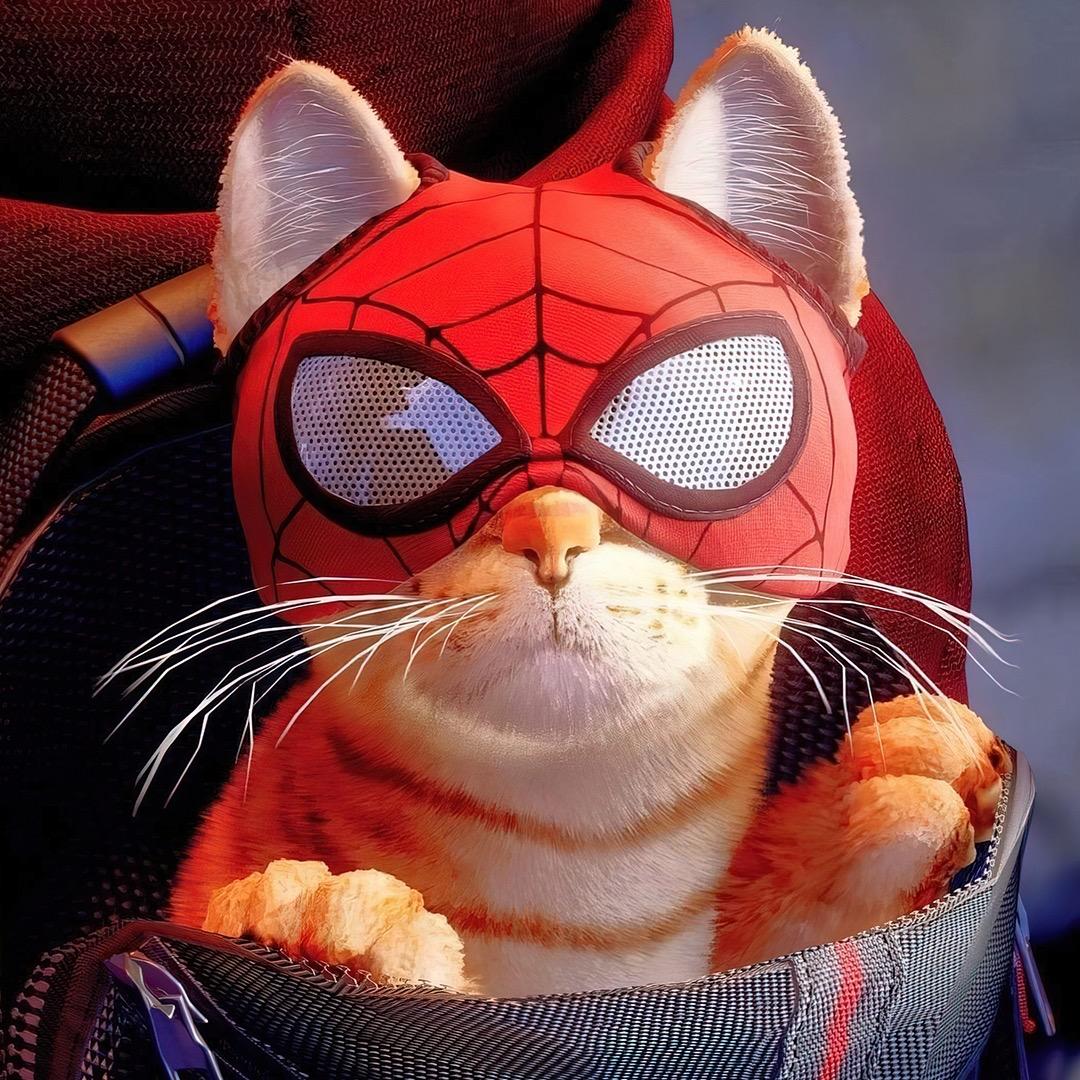 A本（三角洲行动）