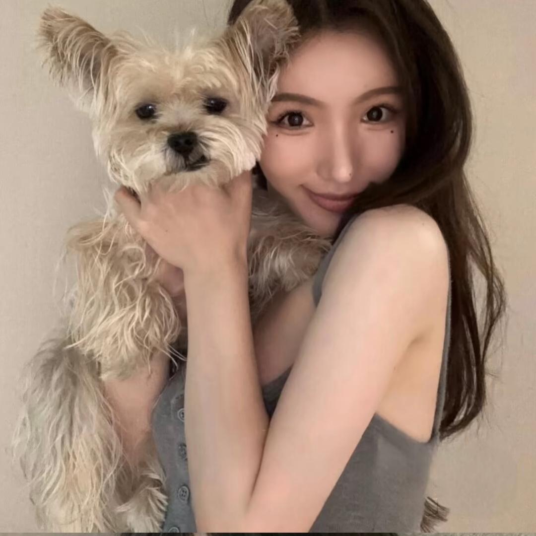 ✧ۣۖ