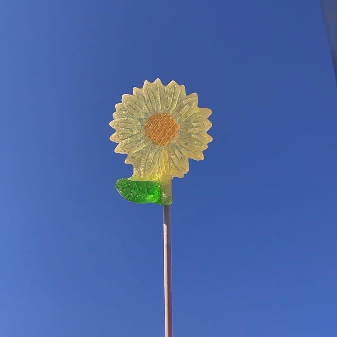 阿橘啊