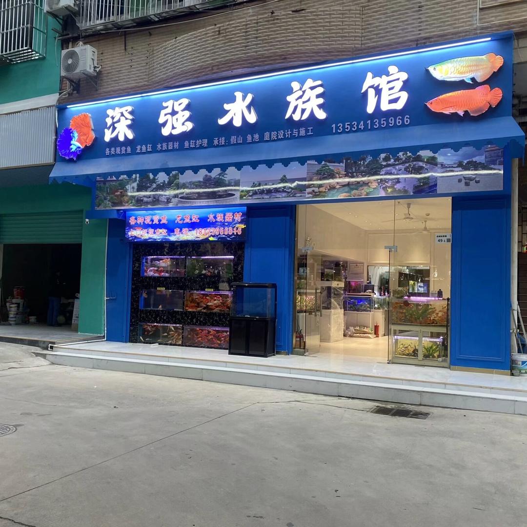 深圳市龙岗区深强水族馆