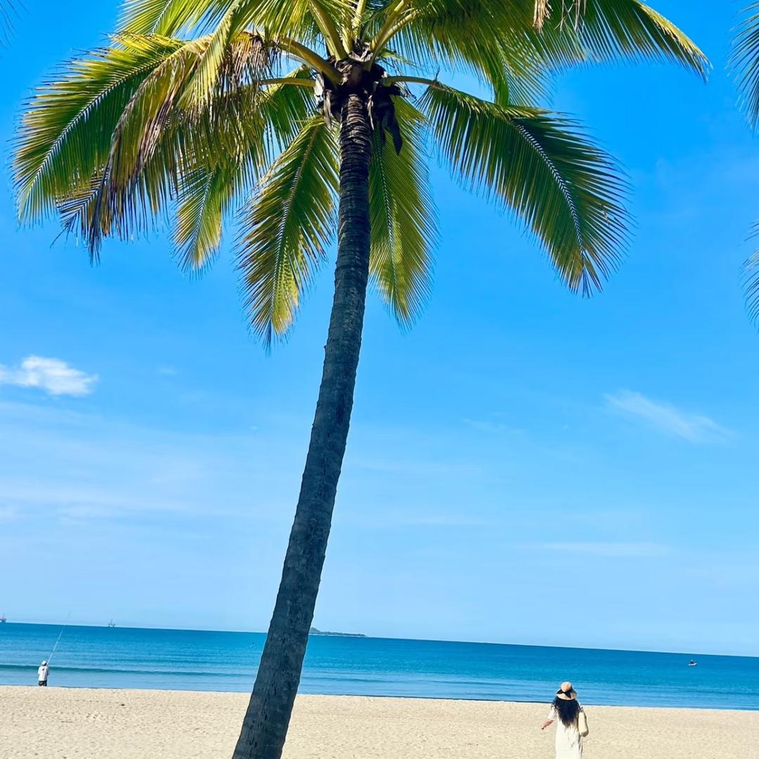 南小椰·椰子鸡