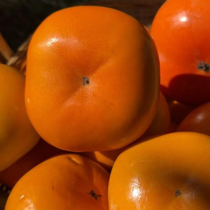 硕丽鲜果商行