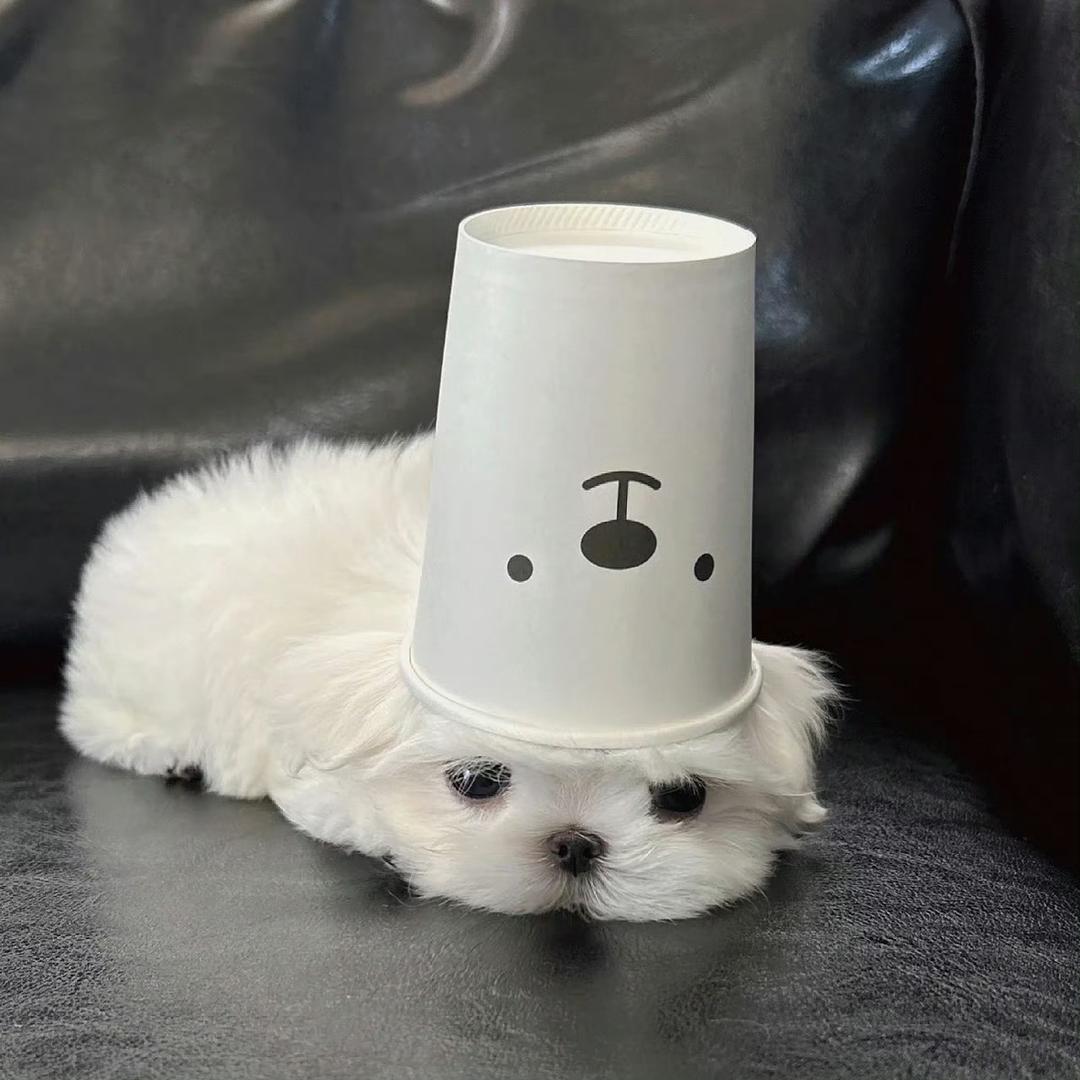 嗯哼.