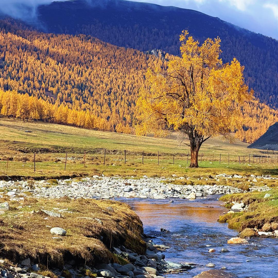 壹贰叁肆肆叁贰壹