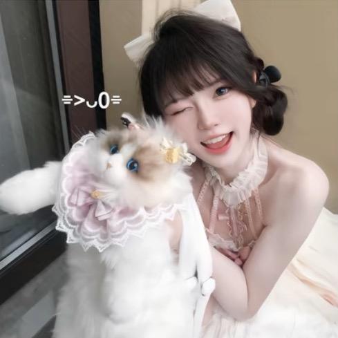 静儿🍥