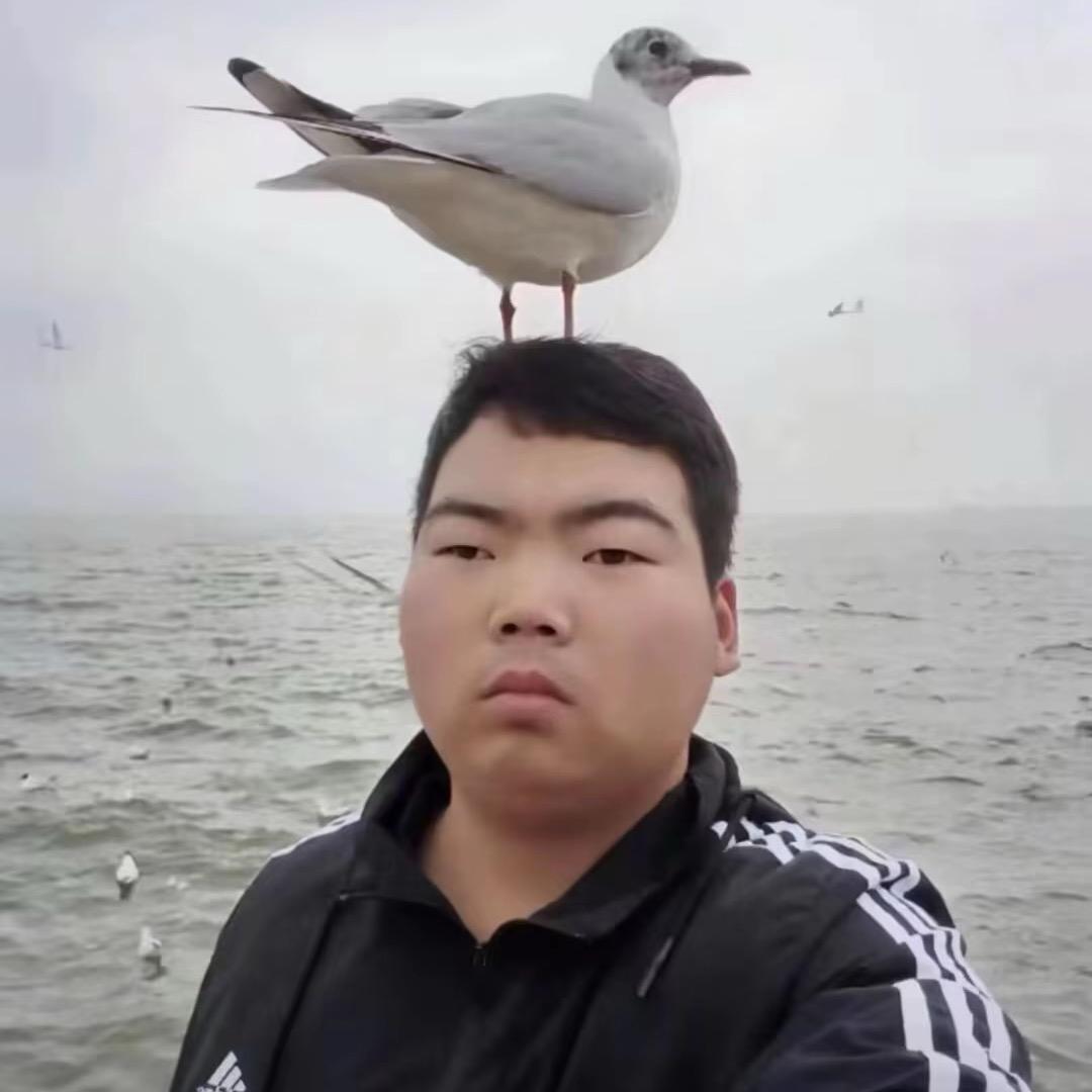 赚钱买a6