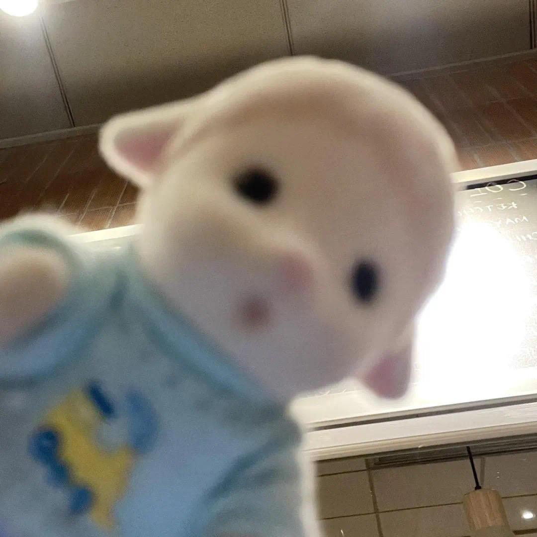 266