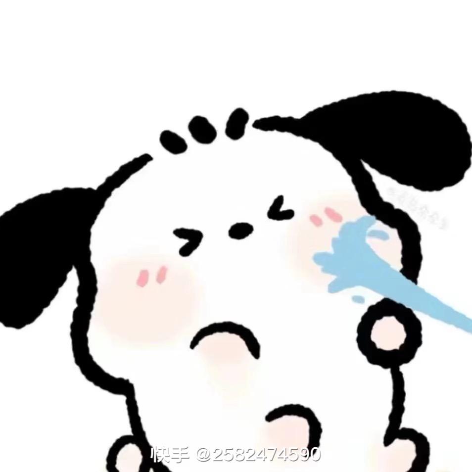 付大帅ab