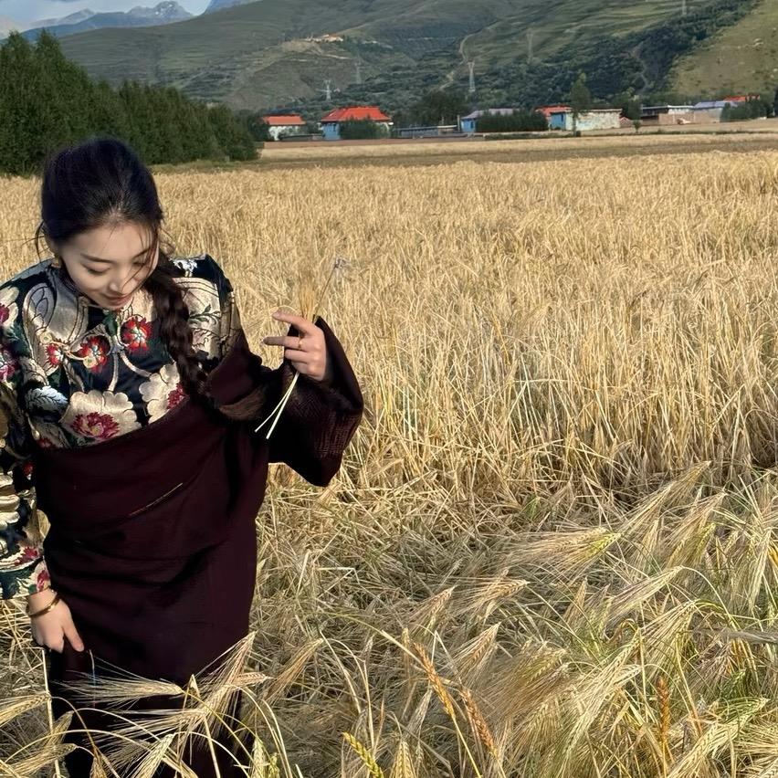 娜仓
