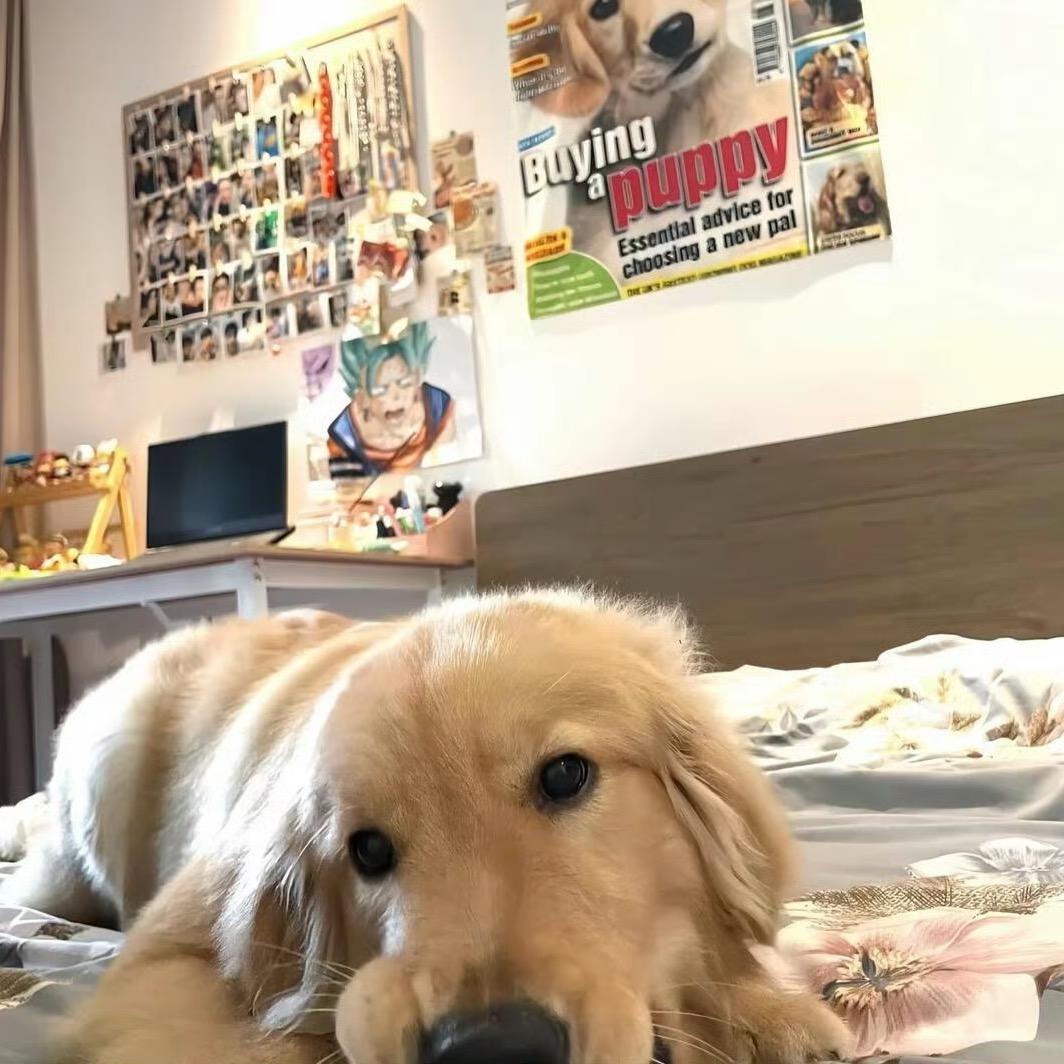 々