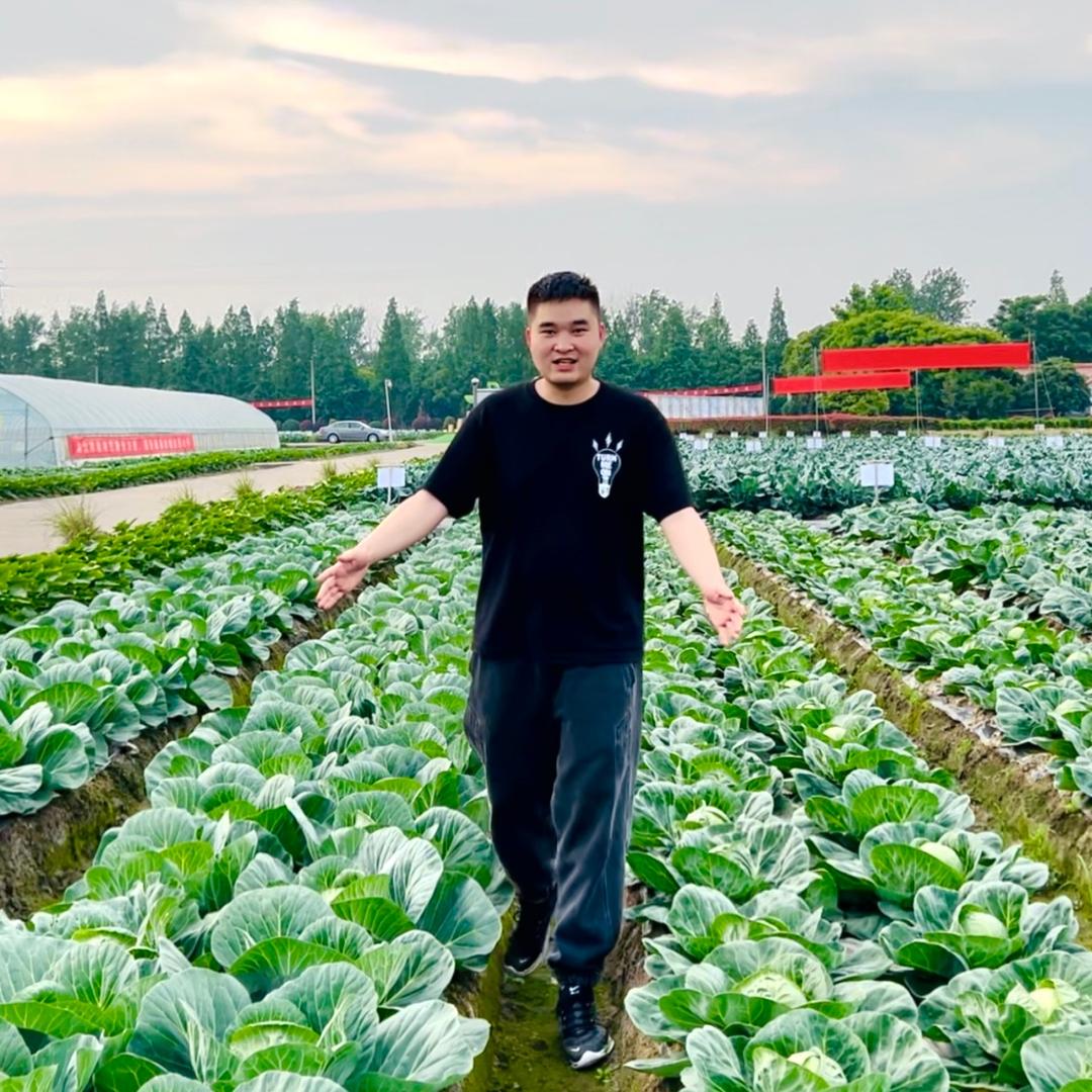 林林的小菜园