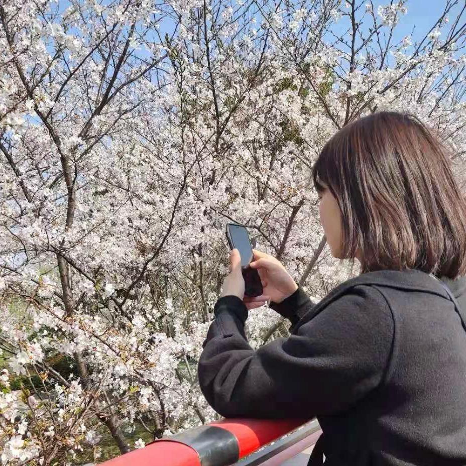梅姐姐