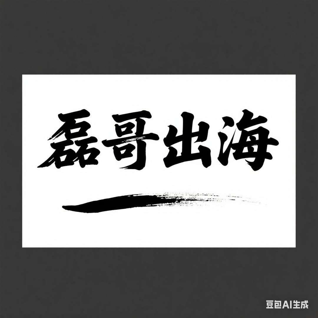 磊哥出海