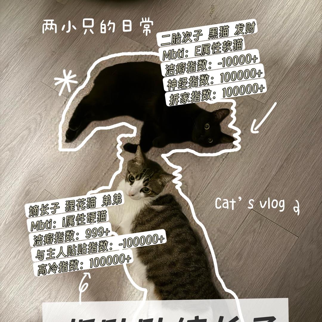 I弟E财快来打工！