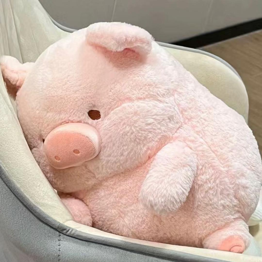 放了小猪叭🐷