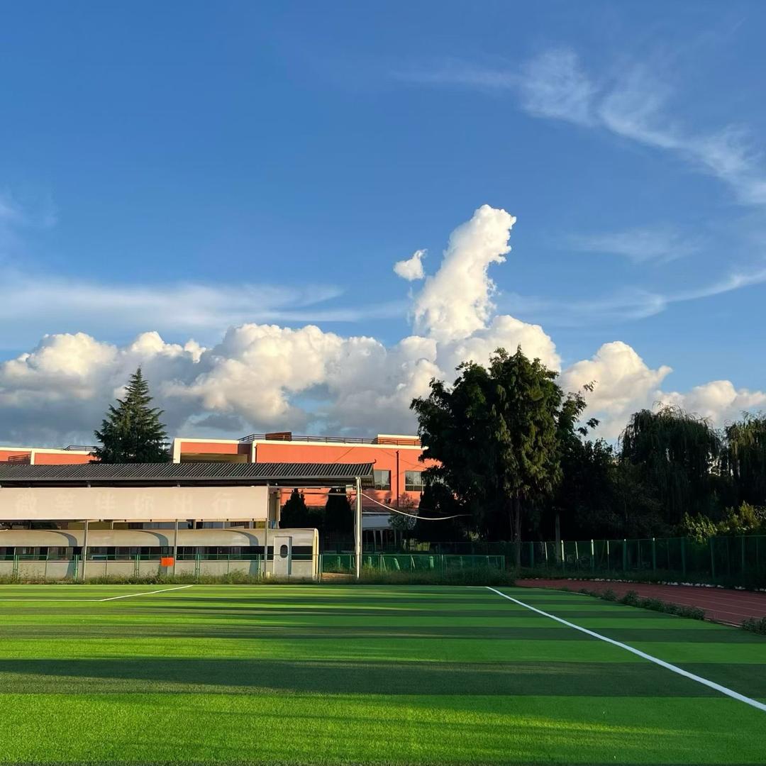 百鸟春季高考阮老师