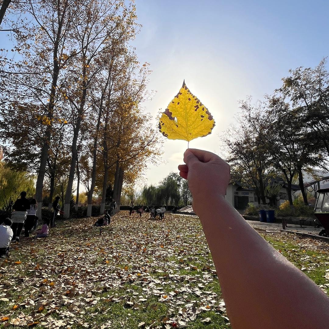 安小刚💘💘💘