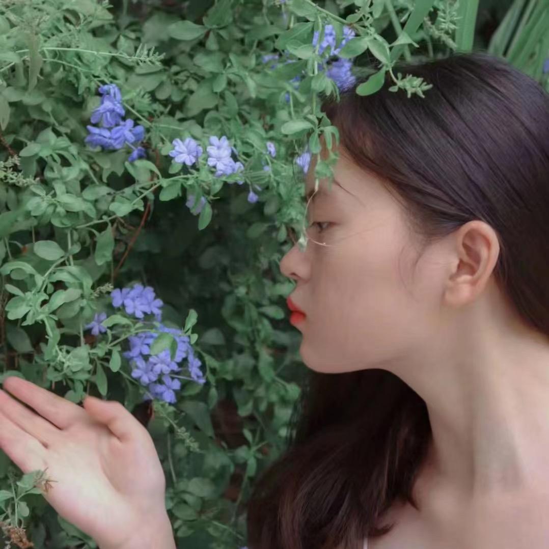 德而瑞人力小叶子