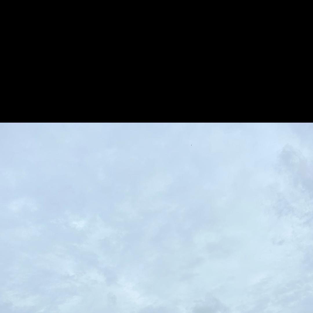 断ღ念