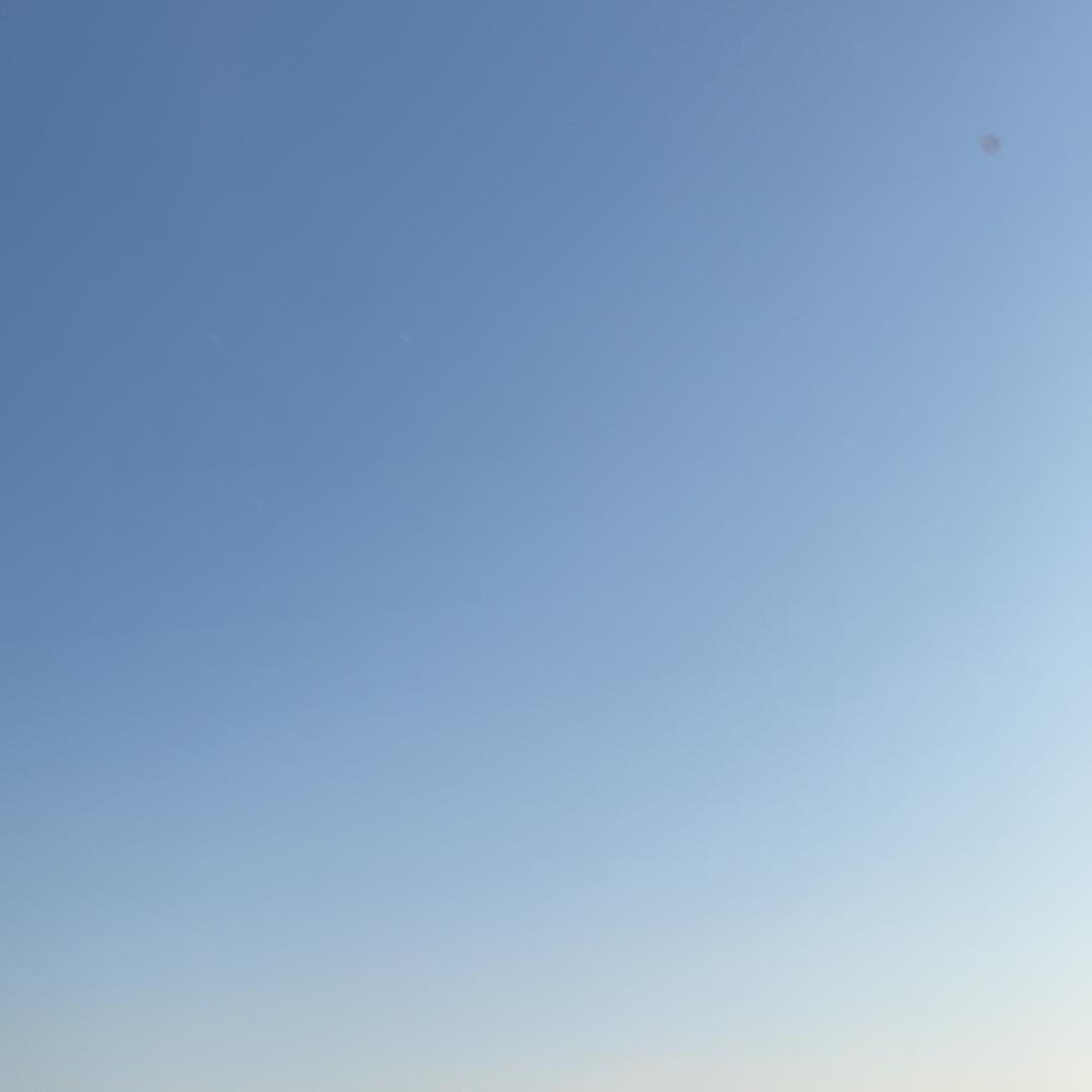 心随意动