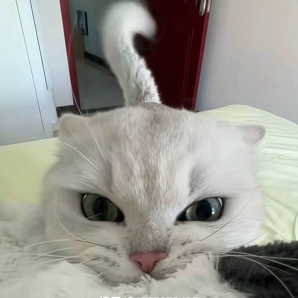 晕乎乎
