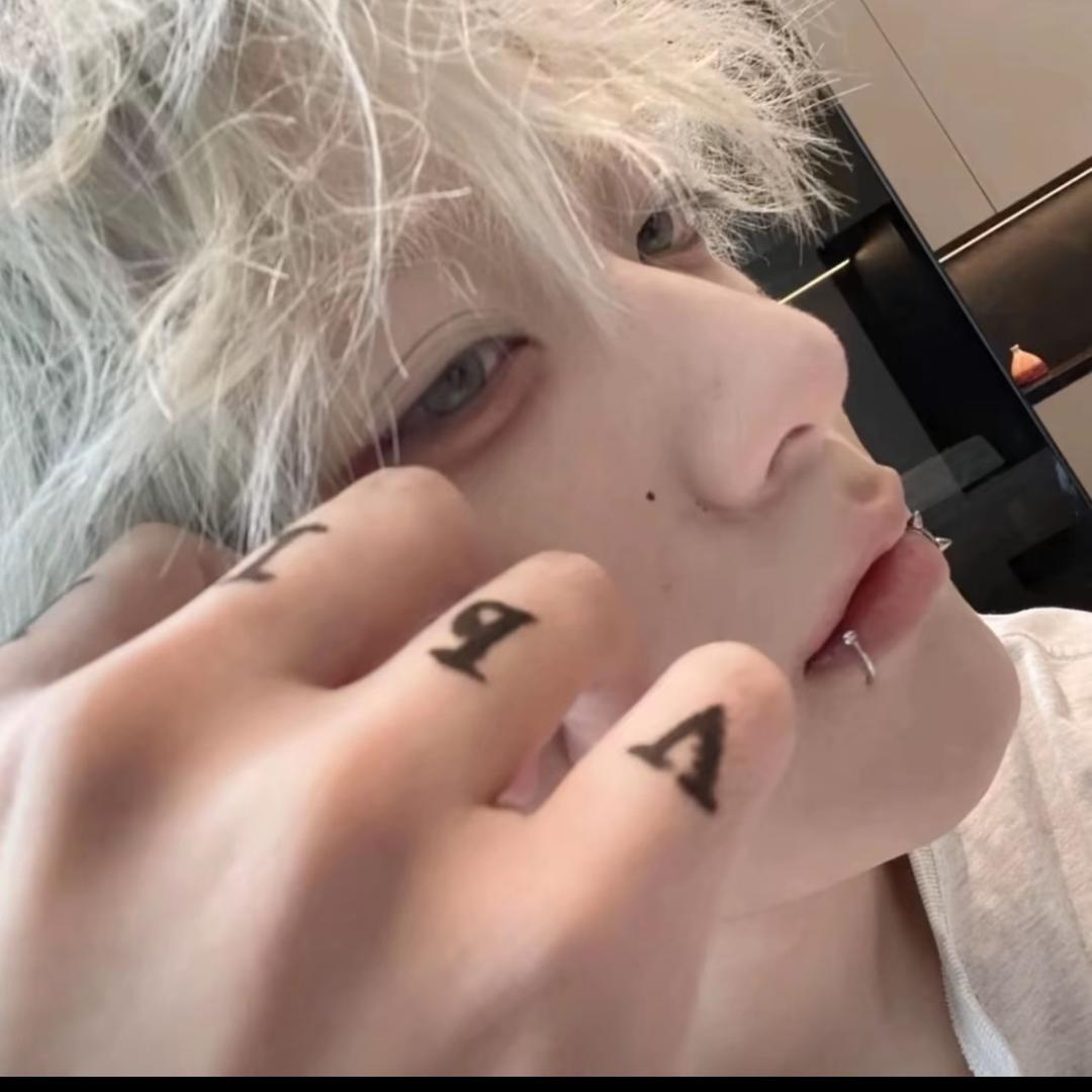 冬天的访客.