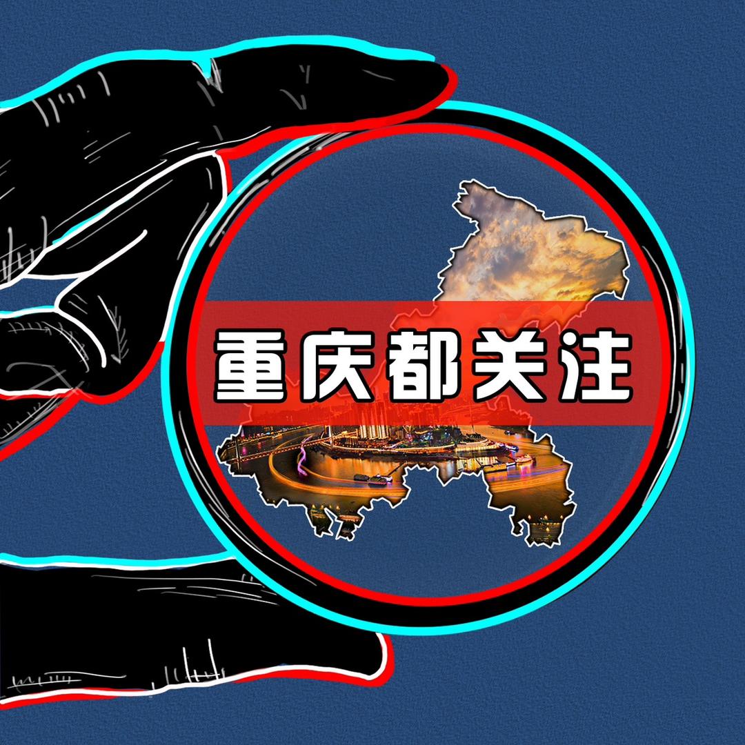 重庆都关注