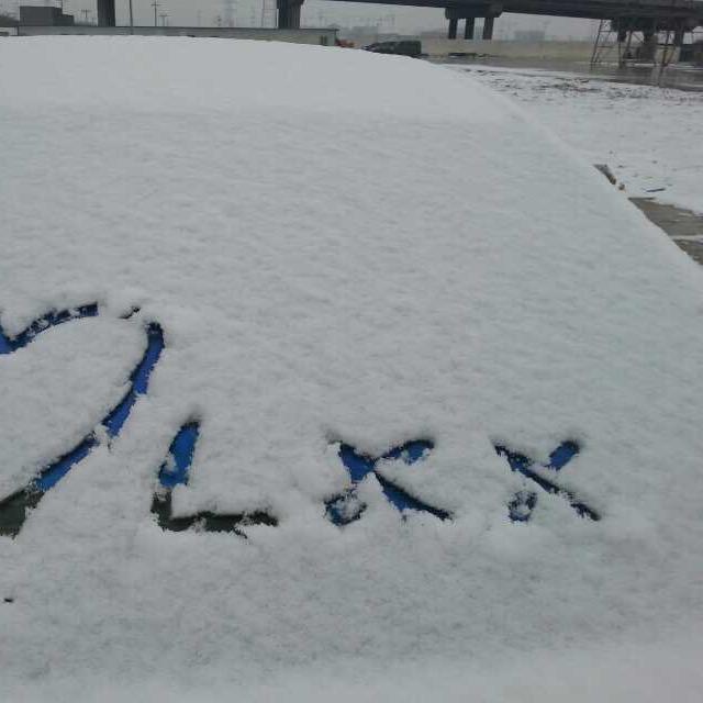 养鹅大叔的闺女