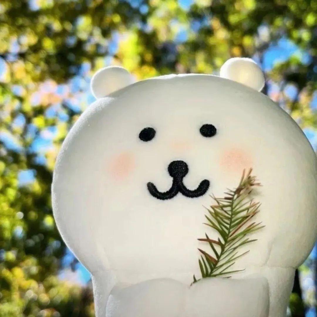 小马宝贝🧸