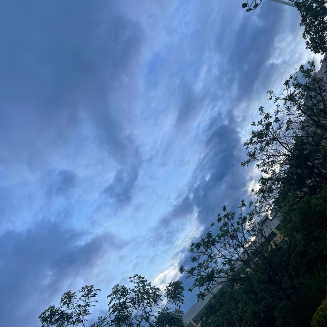 橙子雨