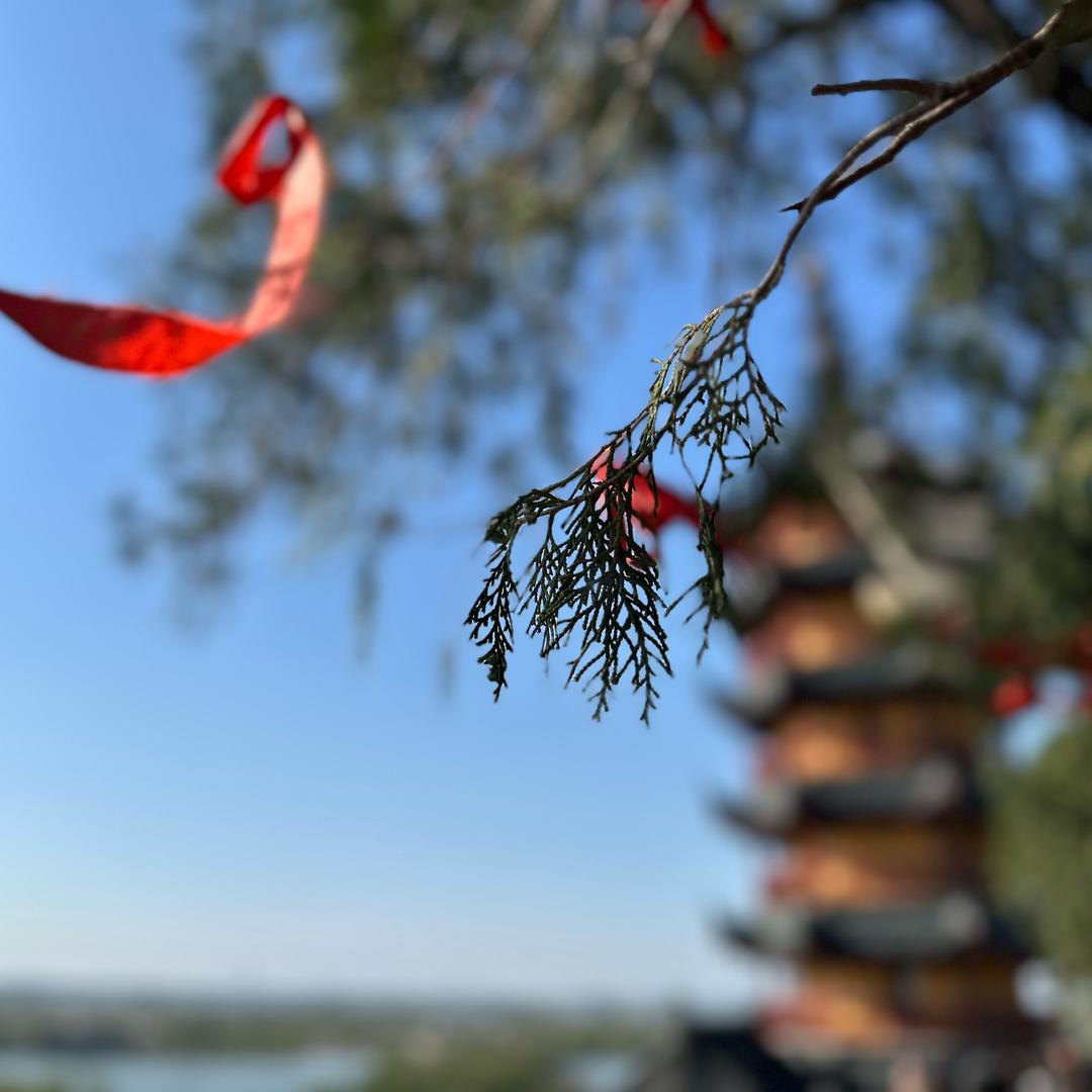 見之·茶院  （姜欣言）