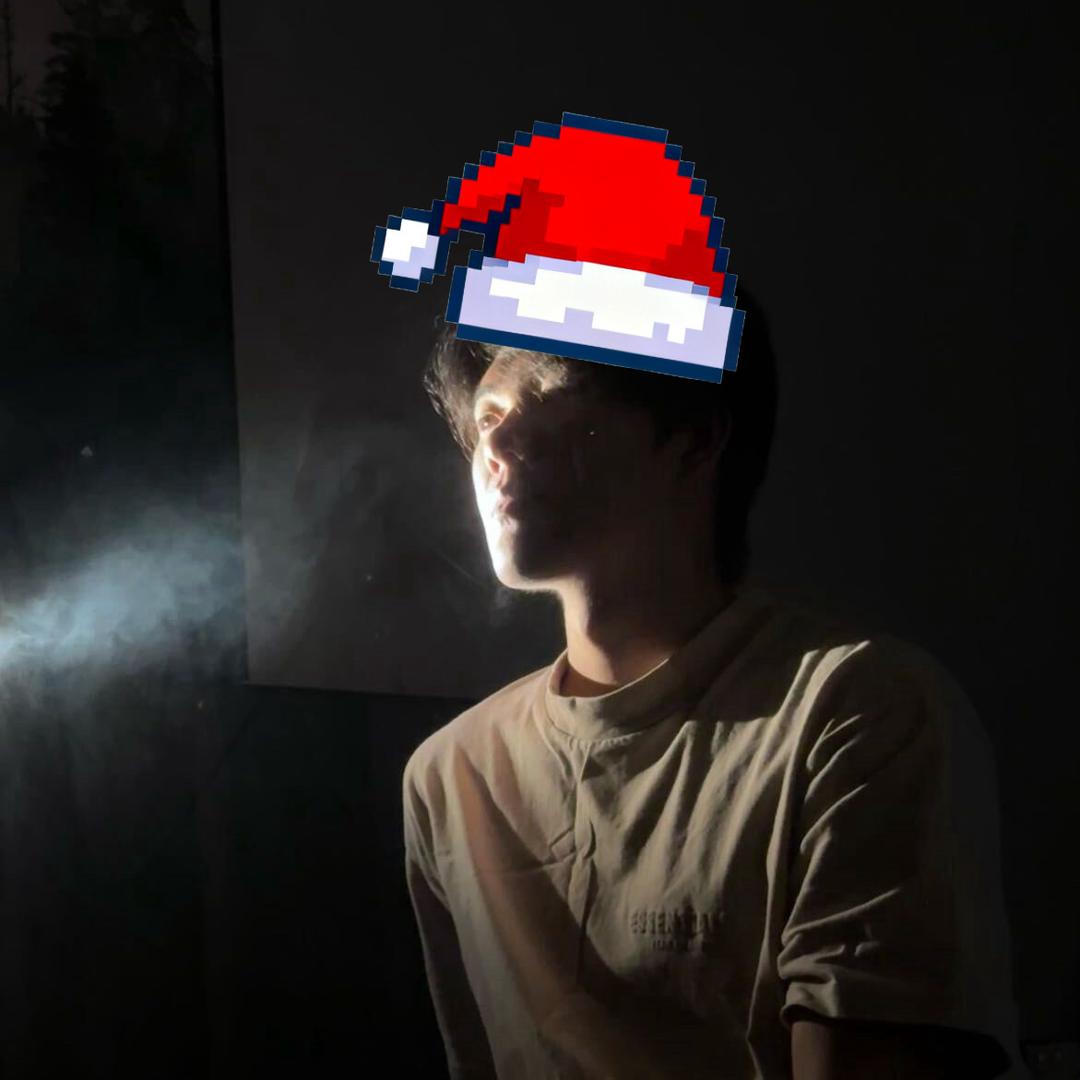 睡觉的小浣熊