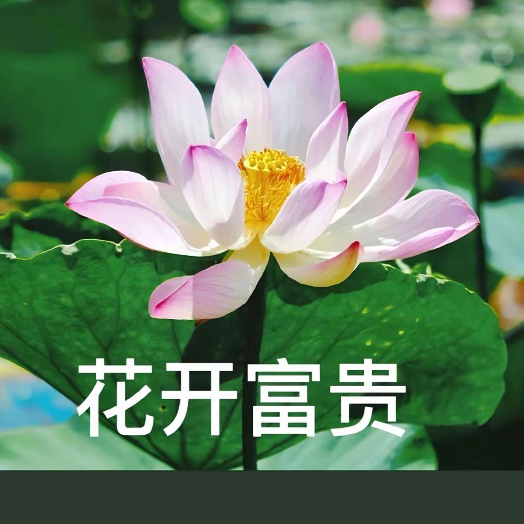 朱超杰