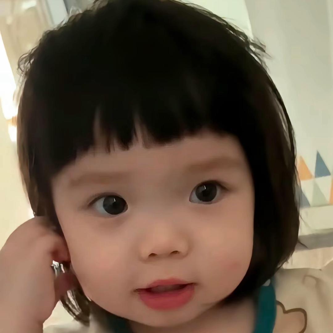 面包小狗🍞