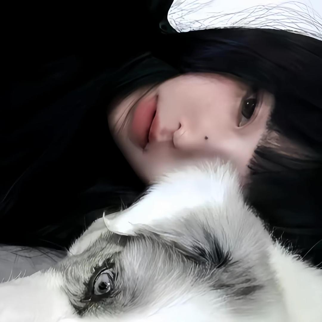 房东的猫🐈