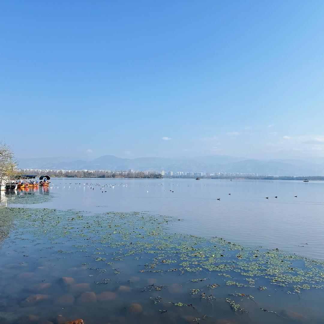 小龙人