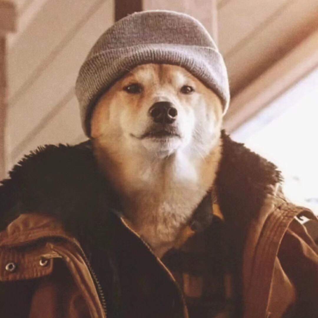 抬头仰望那抹阳光