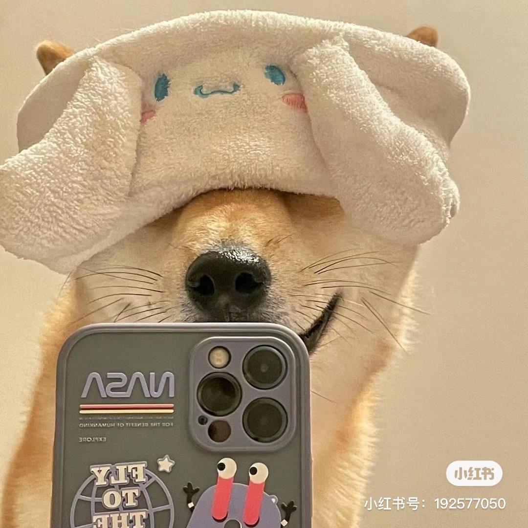 沐兮