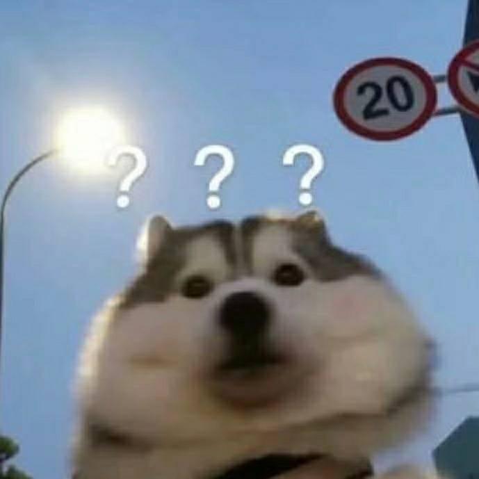 21y