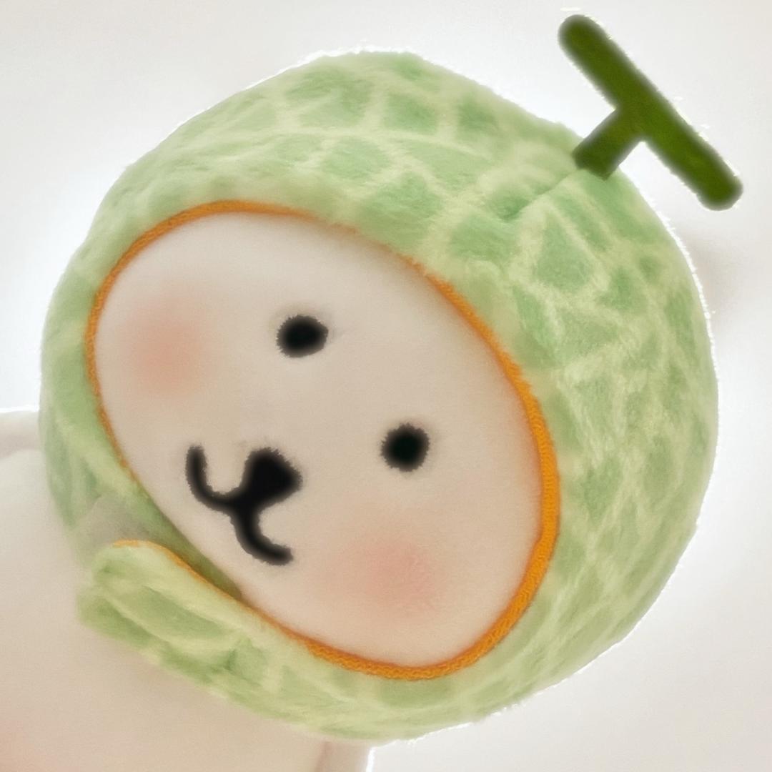 蜜瓜瓜🍈(160+穿搭)