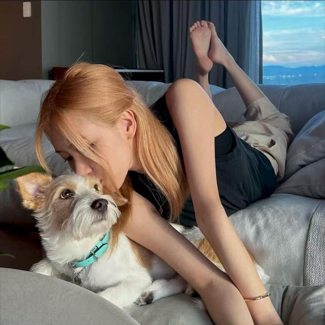 淡鱼
