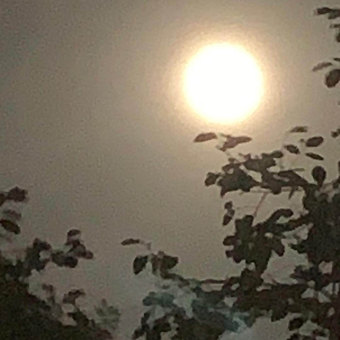 慢慢悠悠的大雄