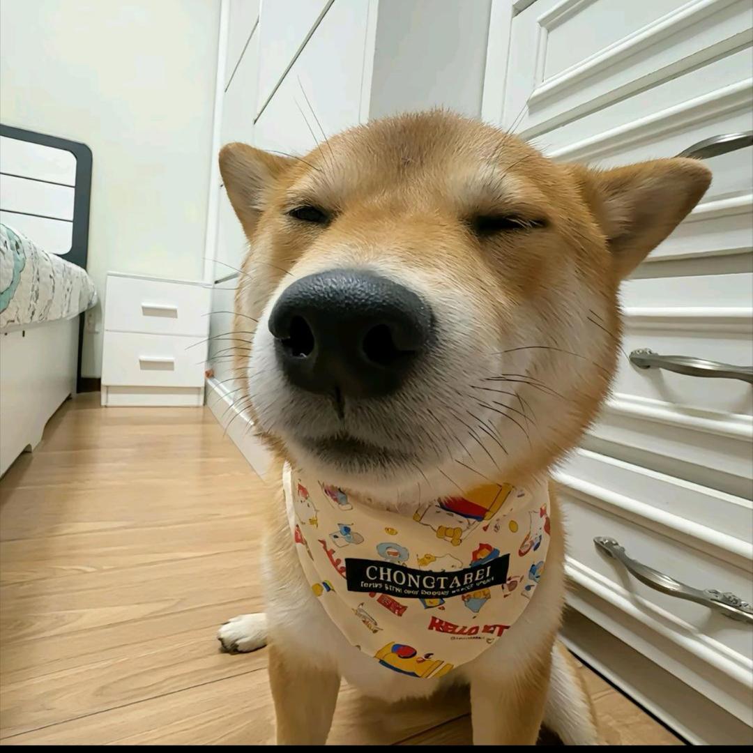 好坏都是我