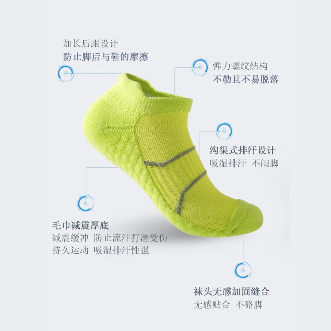 贵族袜业