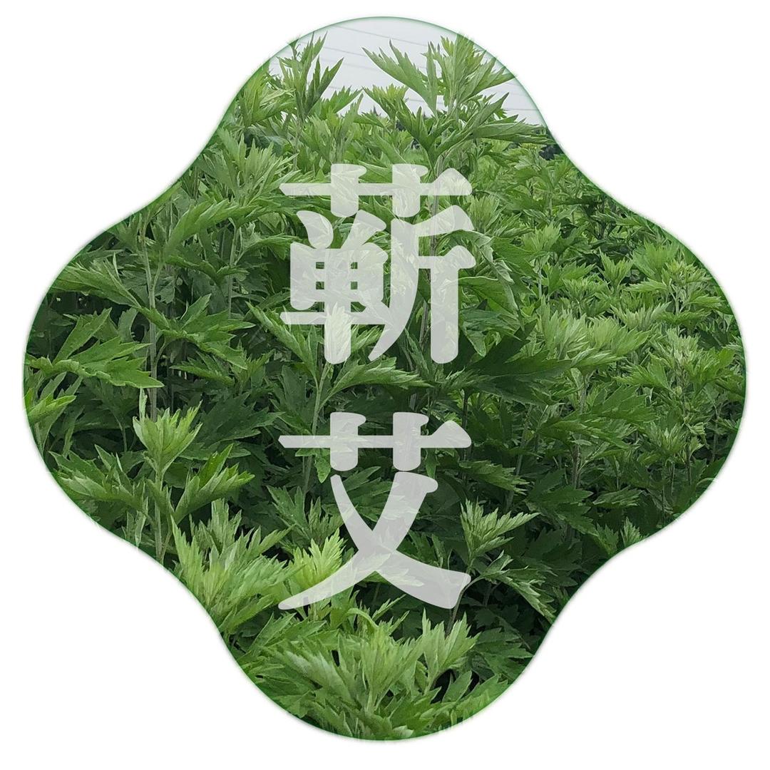 蕲春蕲艾专业合作社