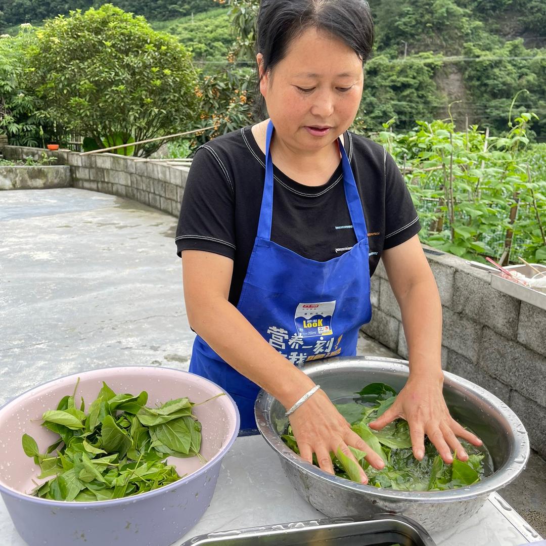 斑鸠树叶刘姐