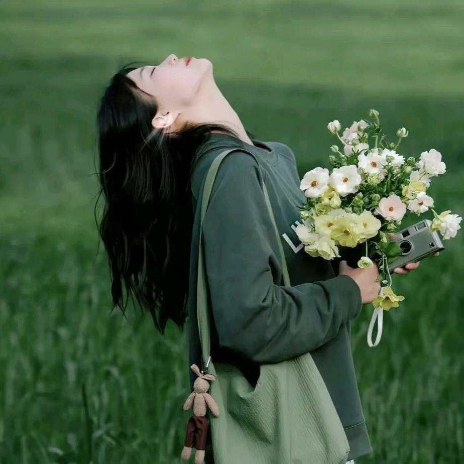 周周高考教育规划