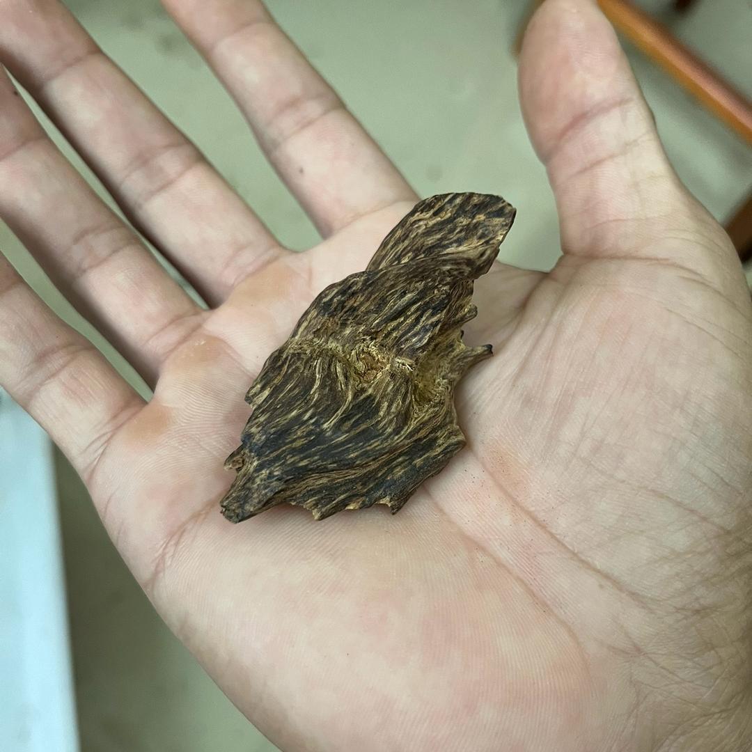 木林、沉香工艺