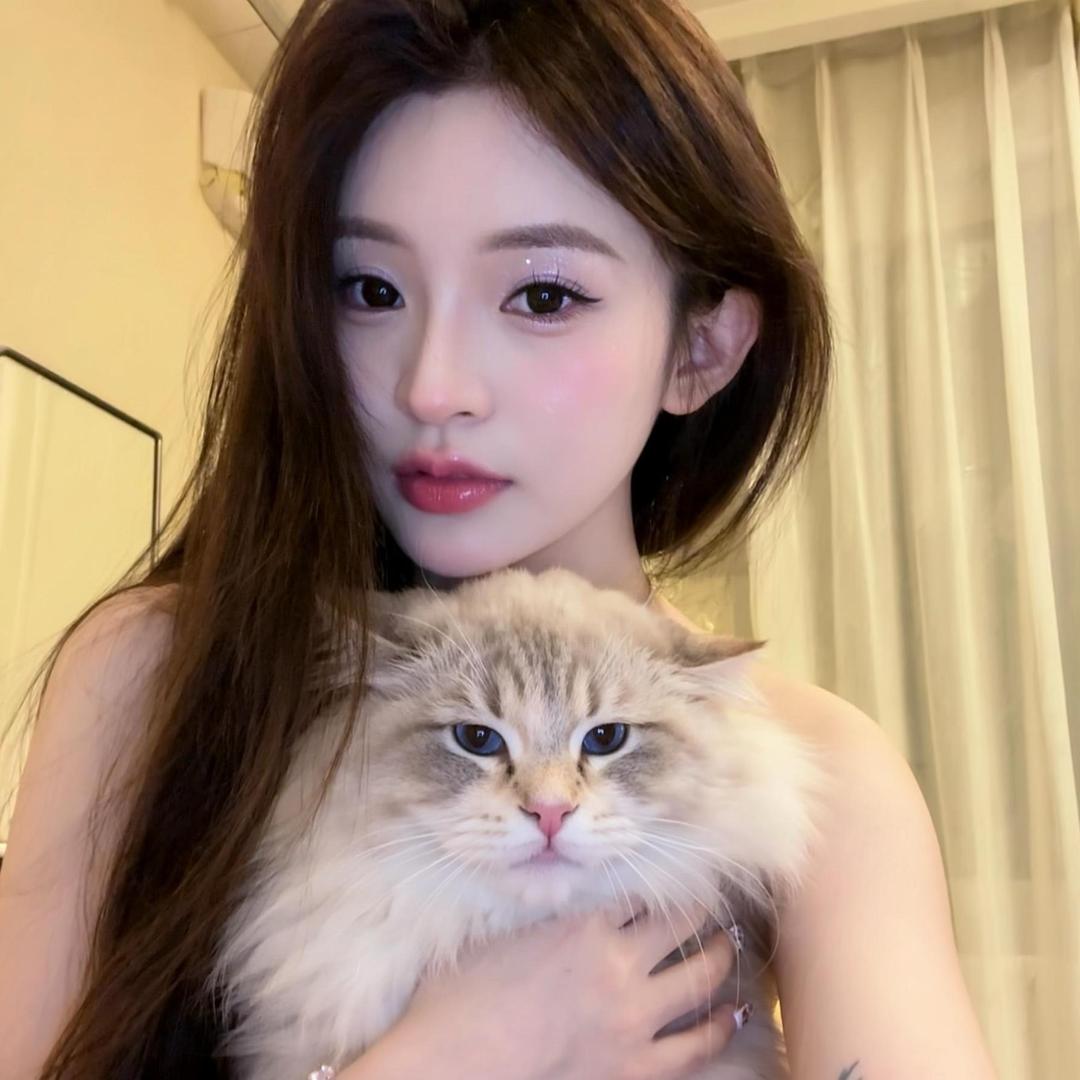 毛木木